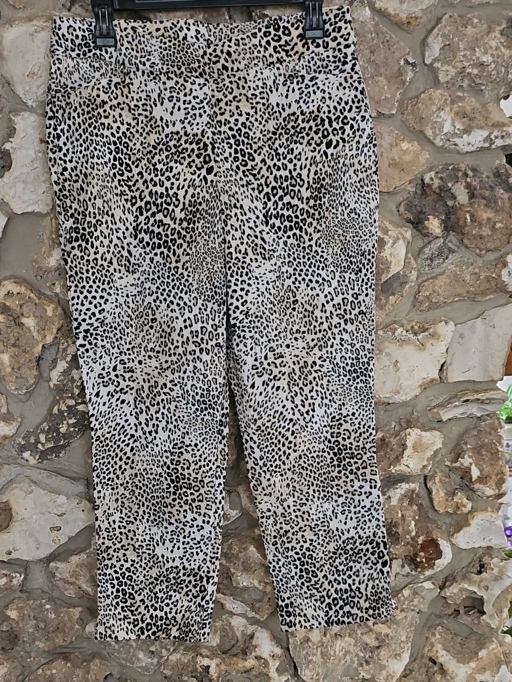 Chico's Leopard Print Capri  Black & Cream